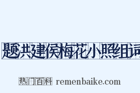 题洪建侯梅花小照组词是什么意思的图片